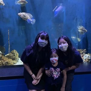 Meet your Posher, Katherine